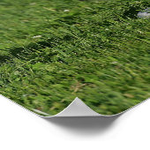 Fütterhaltung im Gras Poster (Ecke)