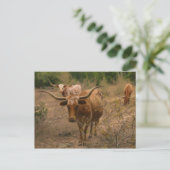 Futtermittel für Lebensmittel Postkarte (Stehend Vorderseite)