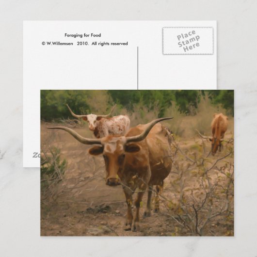 Futtermittel für Lebensmittel Postkarte (Vorne/Hinten)