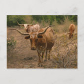 Futtermittel für Lebensmittel Postkarte (Vorderseite)