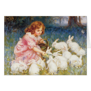 Füttern der Kaninchen