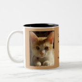 Füttern Sie den Haustieren Tasse (Links)