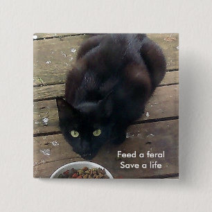 "Füttern Sie ein wildes, wilder Katzenknopf rette Button