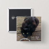 "Füttern Sie ein wildes, wilder Katzenknopf retten Button (Vorne & Hinten)