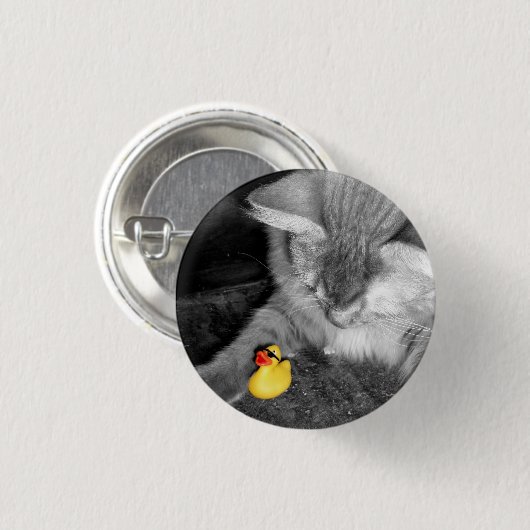 "Füttern Sie nicht die Katzen-" der Button (Vorne & Hinten)
