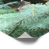 Fütternd Baby Poster (Ecke)