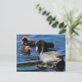 Fütternd Babys Postkarte (Stehend Vorderseite)