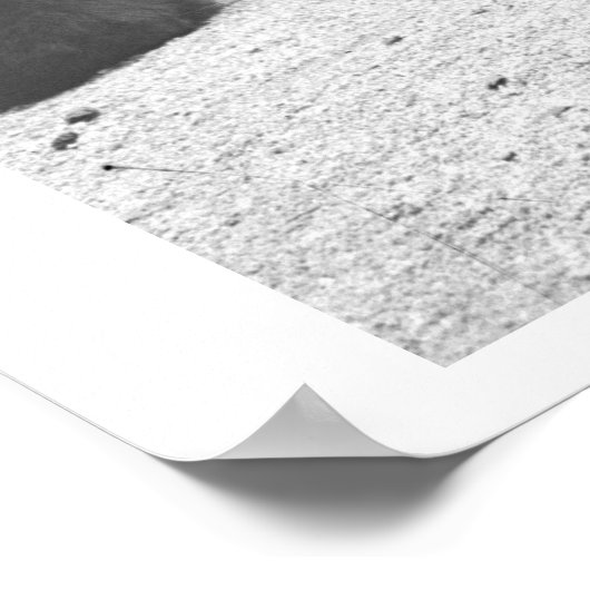 Fütternd Bären. Poster (Ecke)