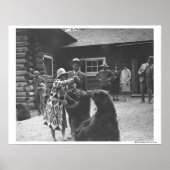 Fütternd Bären. Poster (Vorne)