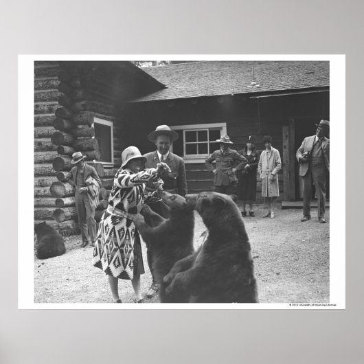 Fütternd Bären. Poster (Vorne)