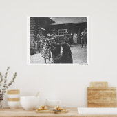 Fütternd Bären. Poster (Küche)