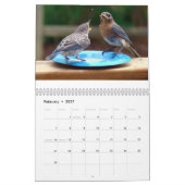 Fütternd Bluebirds Kalender (Feb 2027)