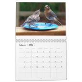Fütternd Bluebirds Kalender (Feb 2026)