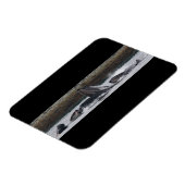 Fütternd Buckelwale Magnet (Linke Seite)