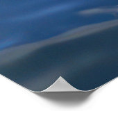 Fütternd Dolphin Poster (Ecke)