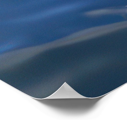 Fütternd Dolphin Poster (Ecke)