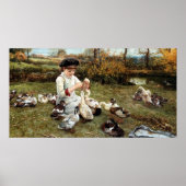 Fütternd Ducks Poster (Vorne)
