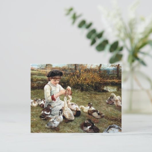 Fütternd Ducks Postkarte (Stehend Vorderseite)