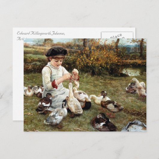 Fütternd Ducks Postkarte (Vorne/Hinten)