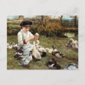 Fütternd Ducks Postkarte (Vorderseite)