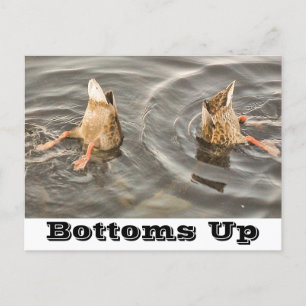 Fütternd Enten Feiertagspostkarte