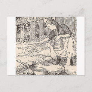 Fütternd Enten Postkarte