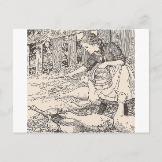 Fütternd Enten Postkarte (Vorderseite)