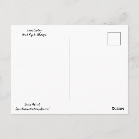 Fütternd Enten Postkarte (Rückseite)