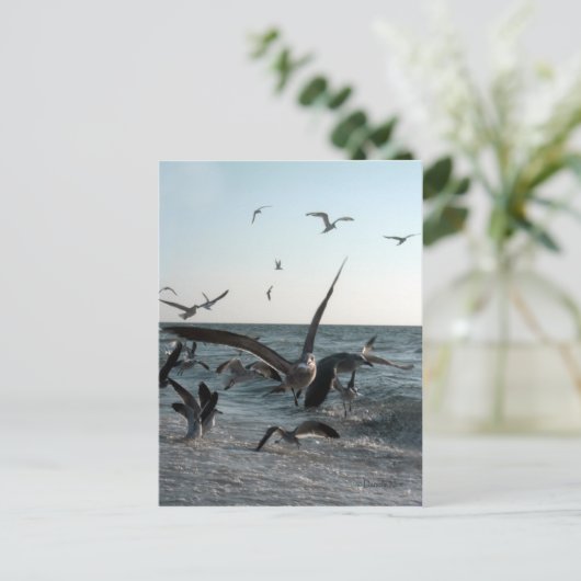 Fütternd Frenzy Postcard Postkarte (Stehend Vorderseite)