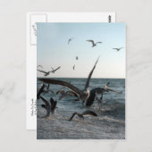 Fütternd Frenzy Postcard Postkarte (Vorne/Hinten)