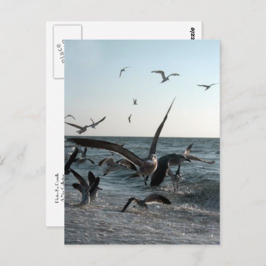 Fütternd Frenzy Postcard Postkarte (Vorne/Hinten)