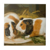 Fütternd Guinea von Haustieren (von James Ward) Fliese (Vorderseite)