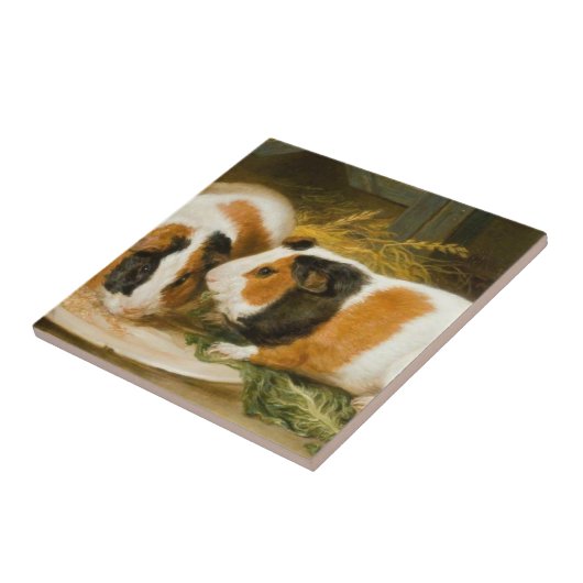 Fütternd Guinea von Haustieren (von James Ward) Fliese (Seite)