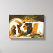 Fütternd Guinea von Haustieren (von James Ward) Leinwanddruck (Vorderseite)