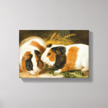 Fütternd Guinea von Haustieren (von James Ward)