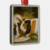 Fütternd Guinea von Haustieren (von James Ward) Ornament Aus Metall (Rechts)