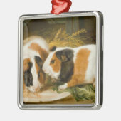 Fütternd Guinea von Haustieren (von James Ward) Ornament Aus Metall (Links)