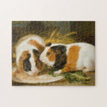 Fütternd Guinea von Haustieren (von James Ward)