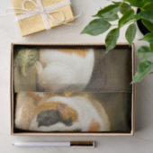 Fütternd Guinea von Haustieren (von James Ward) Seidenpapier (Geschenk)