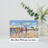 Fütternd Gulls, Clearwater Beach, Florida Postkarte (Stehend Vorderseite)