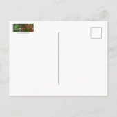 Fütternd Hummingvogel bei roter Krekosmie Postkarte (Rückseite)