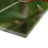 Fütternd Hummingvogel bei roter Krekosmie Schneidebrett (Ecke)