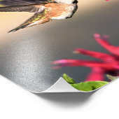 Fütternd Hummingvogel-Blume Fotodruck (Ecke)