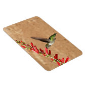 Fütternd Hummingvogel im Garten Magnet (Rechte Seite)