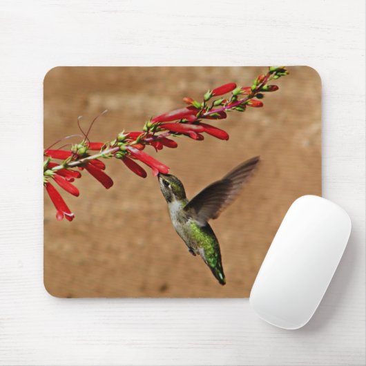 Fütternd Hummingvogel im Garten Mousepad (Mit Mouse)