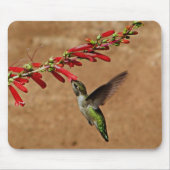 Fütternd Hummingvogel im Garten Mousepad (Vorne)