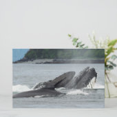 Fütternd Humpbackwale Briefpapier (Stehend Vorderseite)