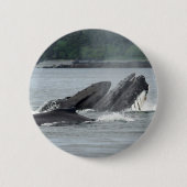 Fütternd Humpbackwale Button (Vorderseite)