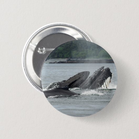 Fütternd Humpbackwale Button (Vorne & Hinten)