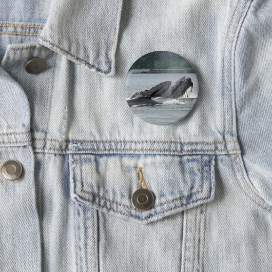 Fütternd Humpbackwale Button (Beispiel)